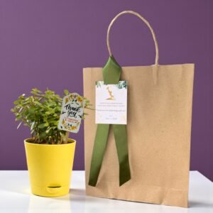 Pack of 20 Jade Plant Gift Set
