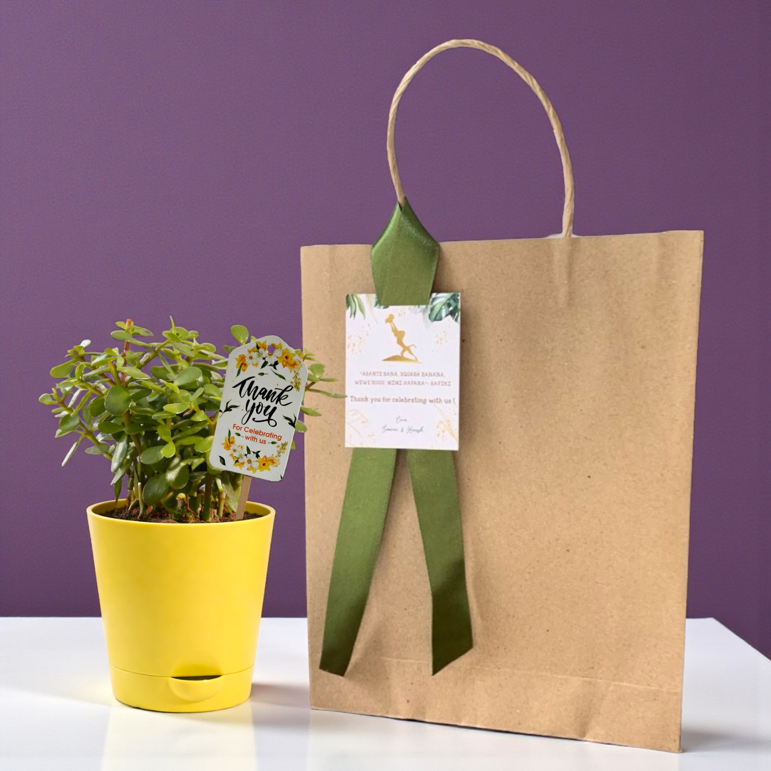 Pack of 20 Jade Plant Gift Set