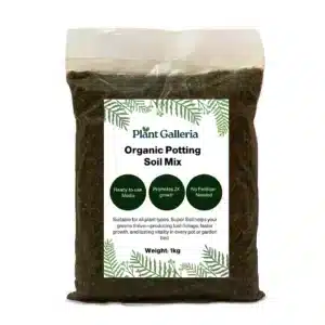 Potting Soil 1kg