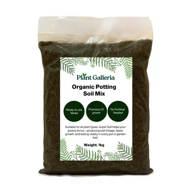 Potting Soil 1kg