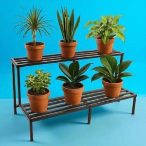 Iron plant stand 2 step