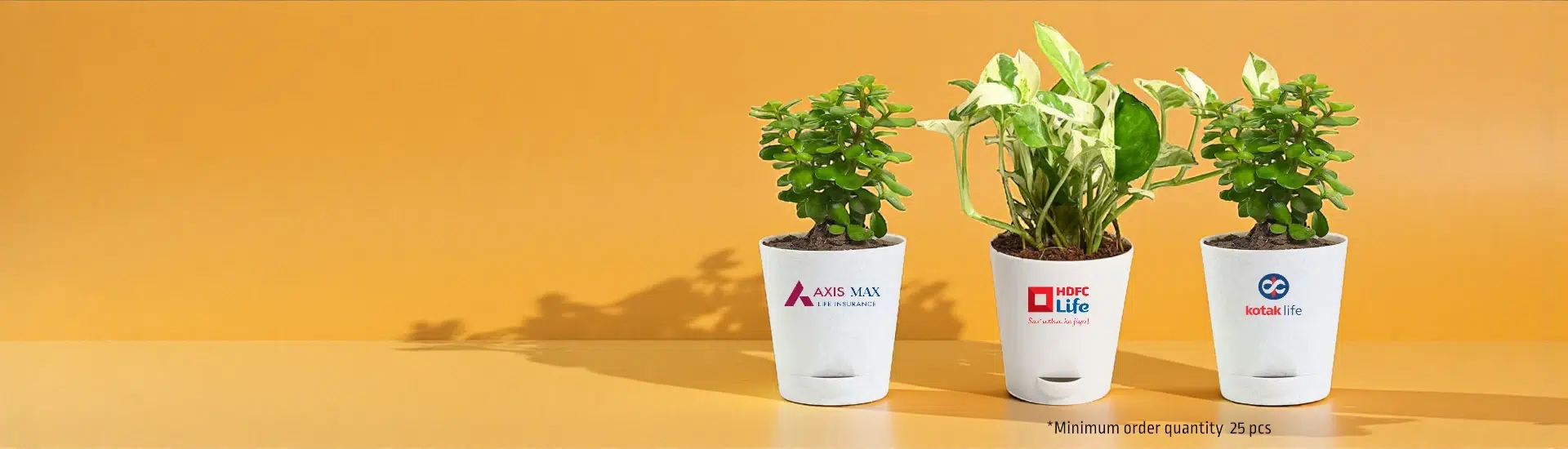 Logo Printed Self-Watering Pots