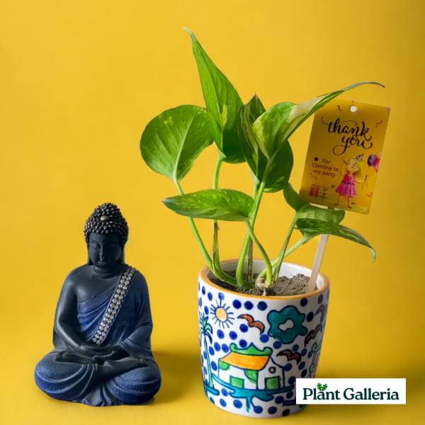 Hand painted pot with Money Plant - Return Gift